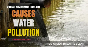 Unveiling the Hidden Causes of Water Pollution: A Comprehensive Guide