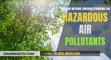 Emission Standards: Hazardous Pollutants and National Regulations
