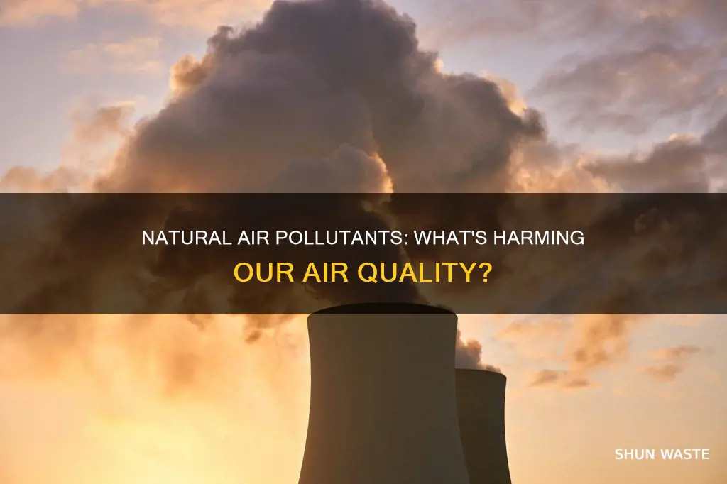 what are natural air pollutants