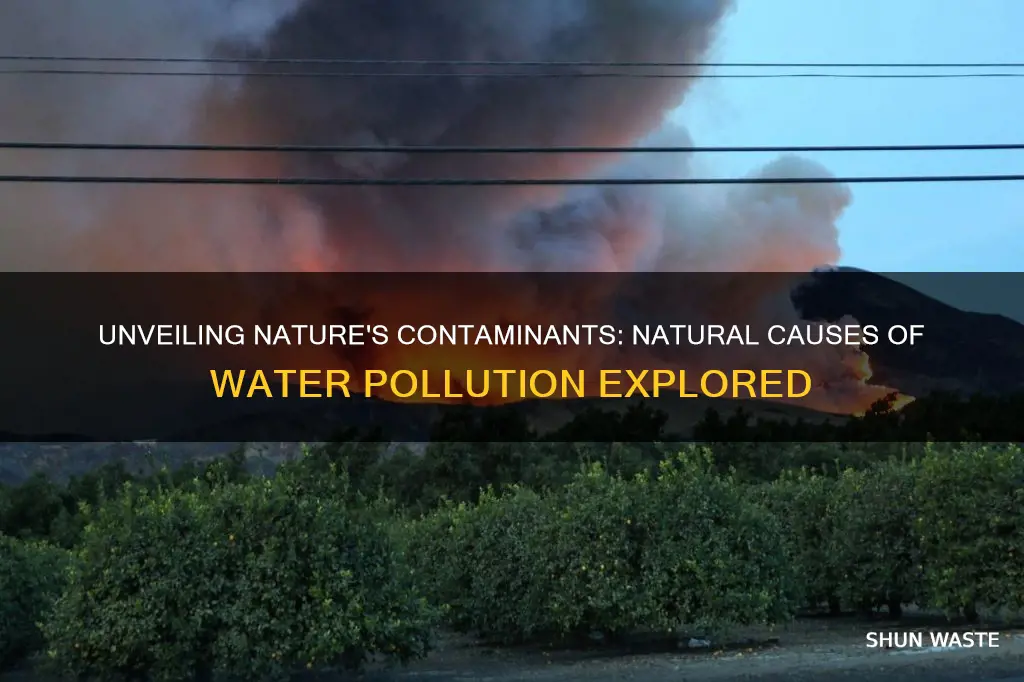 what are natural causes of water pollution