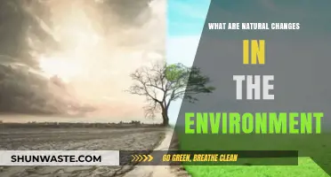 Exploring Earth's Transformations: Understanding Natural Environmental Changes