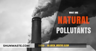 Natural Pollutants: Nature's Unseen Harmful Forces