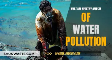 Water Pollution: Understanding Its Devastating Impact on Our World