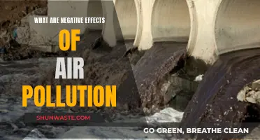 Air Pollution: Deadly Impact and Negative Effects