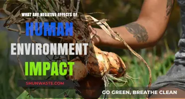 Human Environment Impact: Devastating Consequences for Our Planet's Future