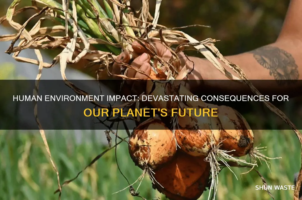 what are negative effects of human environment impact