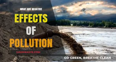 Pollution's Harmful Impact on Our Health and Environment