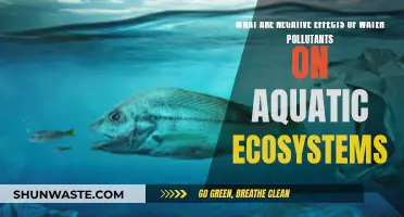 Water Pollutants: Toxic Threats to Aquatic Life