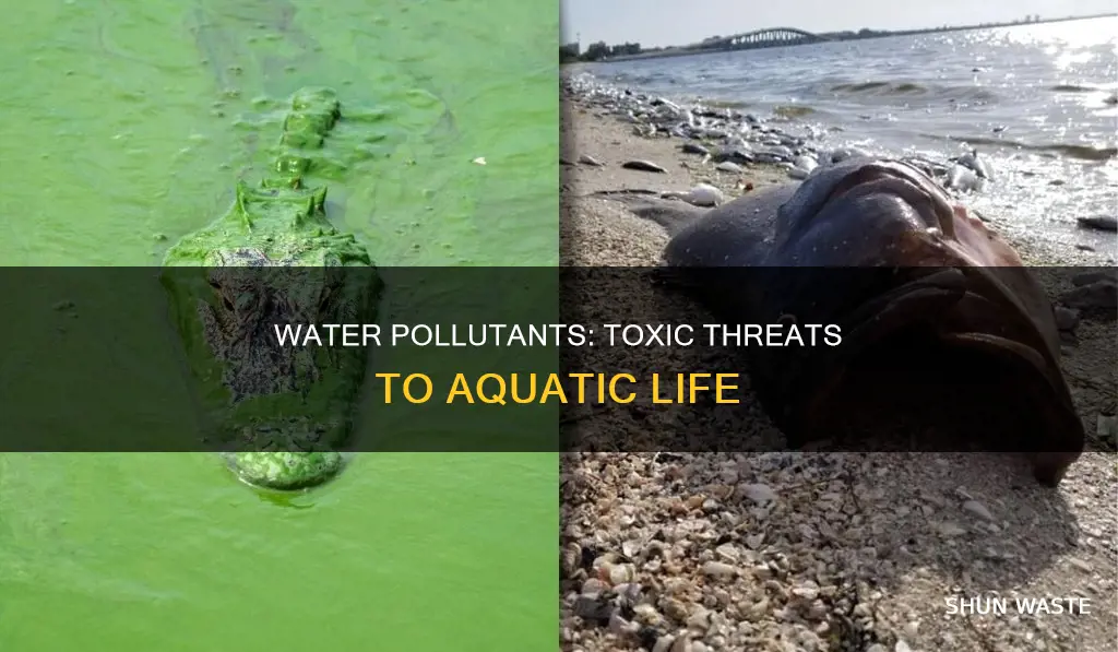 what are negative effects of water pollutants on aquatic ecosystems