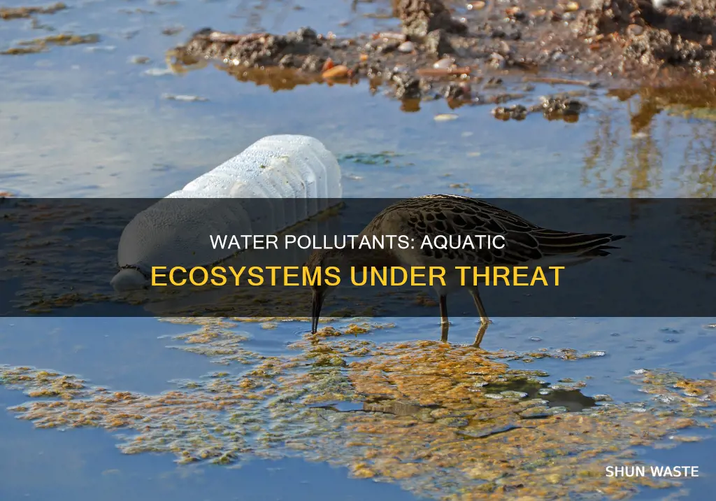 what are negative effects of water pollutants on aquatic ecosystems