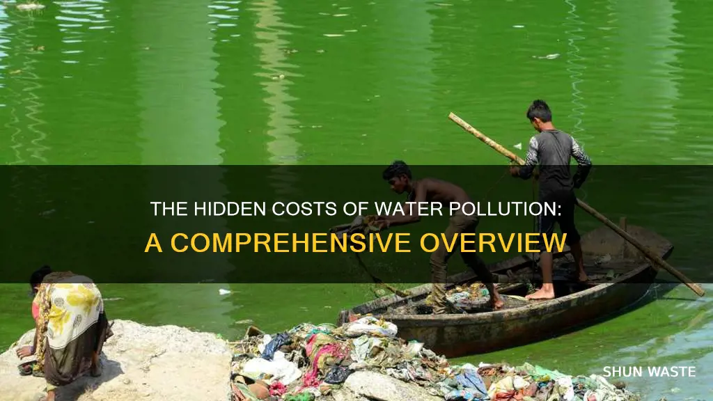 what are negative externalities of water pollution