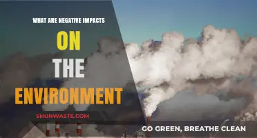 Environmental Degradation: Exploring the Devastating Impacts of Human Activities