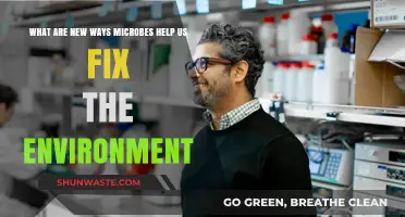 Microbial Innovations: Unlocking Eco-Friendly Solutions for Environmental Restoration