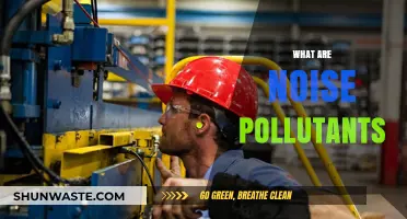 Understanding Harmful Noise Pollution and Its Sources