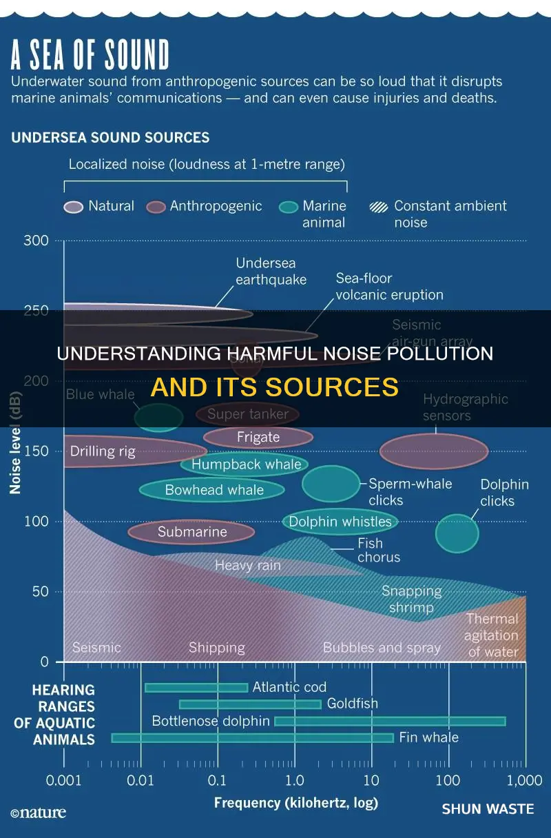 what are noise pollutants