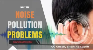 Noise Pollution: Understanding Harmful Sounds
