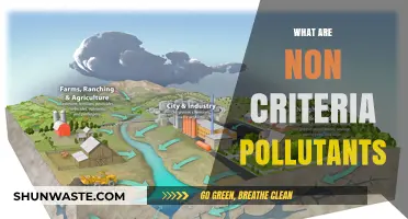 Non-criteria Pollutants: What Are They?