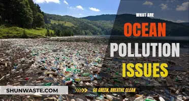 Ocean Pollution: A Deep Dive into Issues