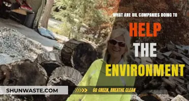 Green Initiatives: How Oil Companies Are Addressing Environmental Concerns
