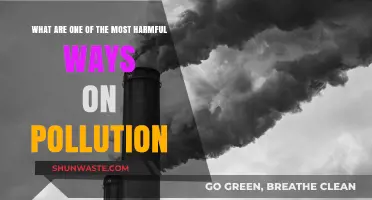 The Deadliest Pollution: Air Toxins' Impact