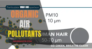 Organic Air Pollutants: Understanding Their Nature and Impact