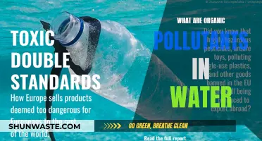 Unveiling the Hidden Dangers: Understanding Organic Pollutants in Water