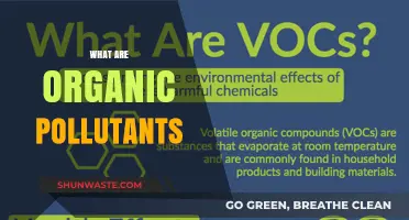 Organic Pollutants: What Are They and How Do They Affect Us?