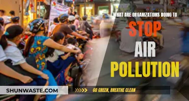 How Organizations Are Fighting Air Pollution