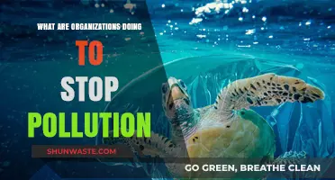 How Businesses Are Combating Pollution