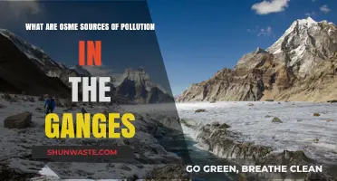 Ganges Pollution: Sources and Their Impact
