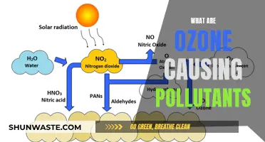 Unveiling the Hidden Ozone Pollutants: A Comprehensive Guide