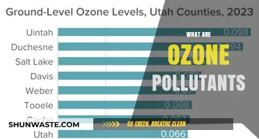 Ozone Pollution: Understanding the Threat to Our Atmosphere