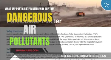 Particulate Matter: Dangerous Air Pollutants and Their Risks