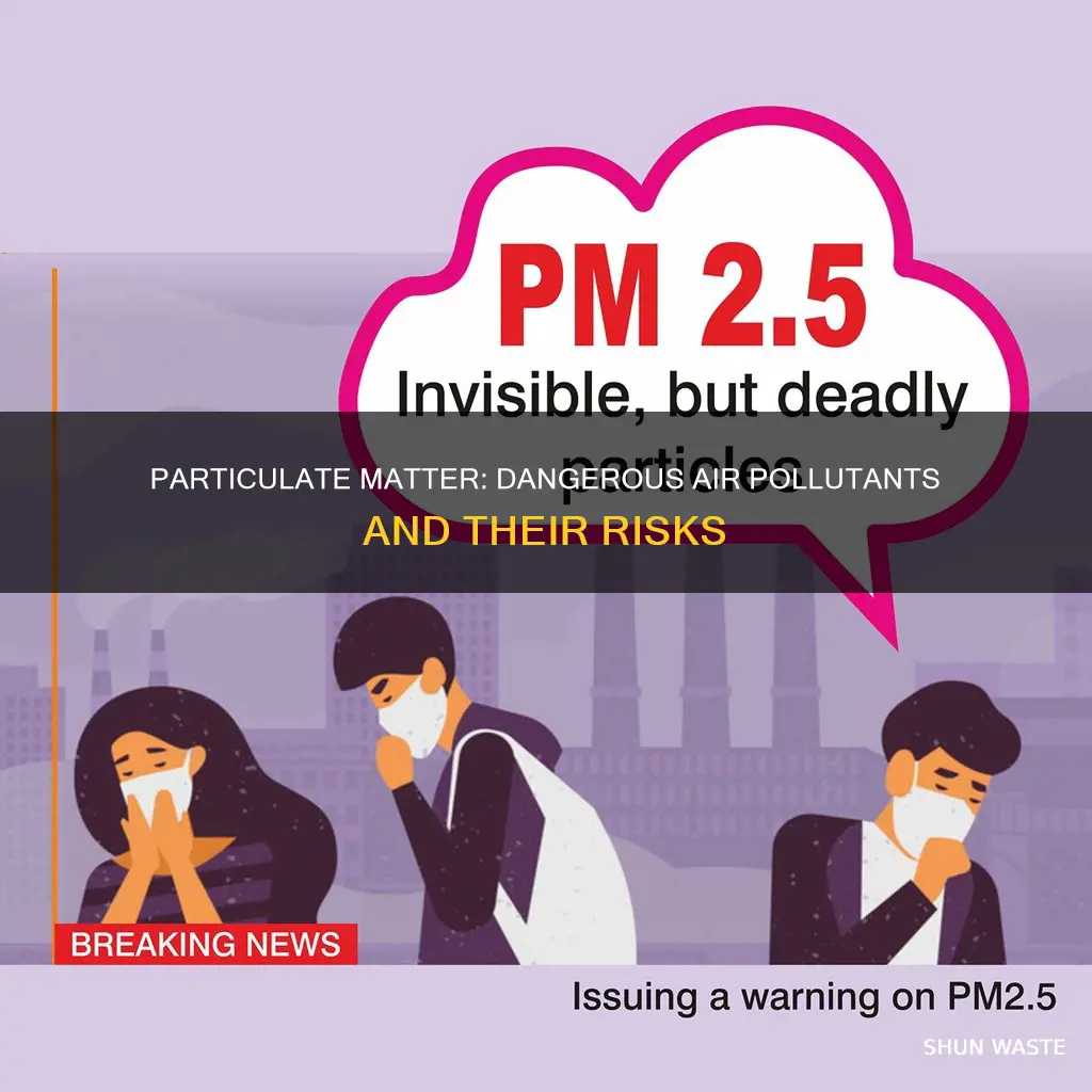 what are particulate matter why are they dangerous air pollutants