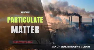 Particulate Matter: What It Is and Why It Matters