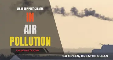 Particulates: Understanding Air Pollution's Tiny, Harmful Components