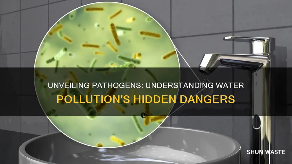 what are pathogens how do they pollute water