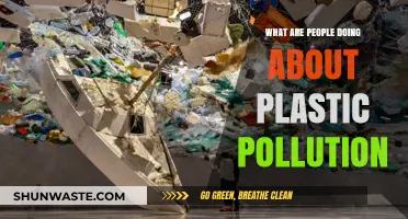Taking Action: Plastic Pollution Solutions