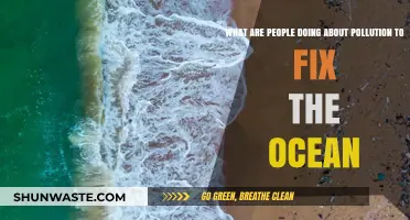 Ocean Pollution: What's Being Done and What's Next?