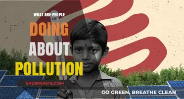How We're Fighting Pollution and Winning
