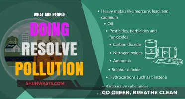 Innovative Solutions to Combat Pollution