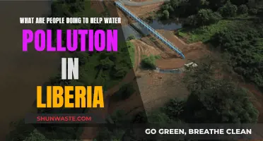 Liberia's Clean Water Heroes: Uniting to Fight Pollution