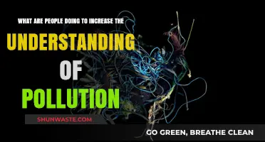 Pollution Awareness: Strategies for a Greener Tomorrow