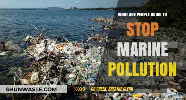 Human Efforts to Combat Marine Pollution