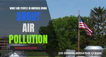 Americans' Efforts Against Air Pollution: What's Being Done?