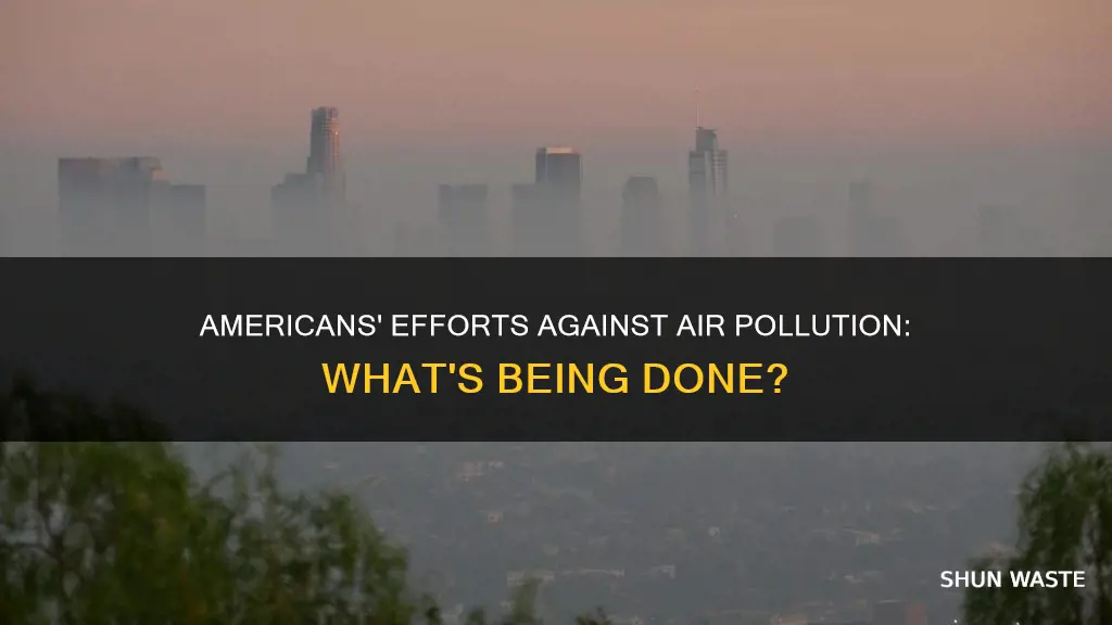 what are people in america doing about air pollution