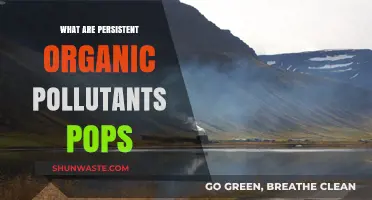 Understanding Persistent Organic Pollutants: Toxic Legacy in Our Environment