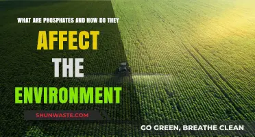 Phosphates Uncovered: Environmental Impacts and Sustainable Solutions Explained