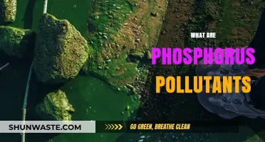 Phosphorus Pollution: Understanding the Problem