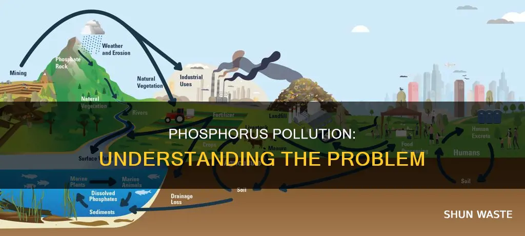 what are phosphorus pollutants